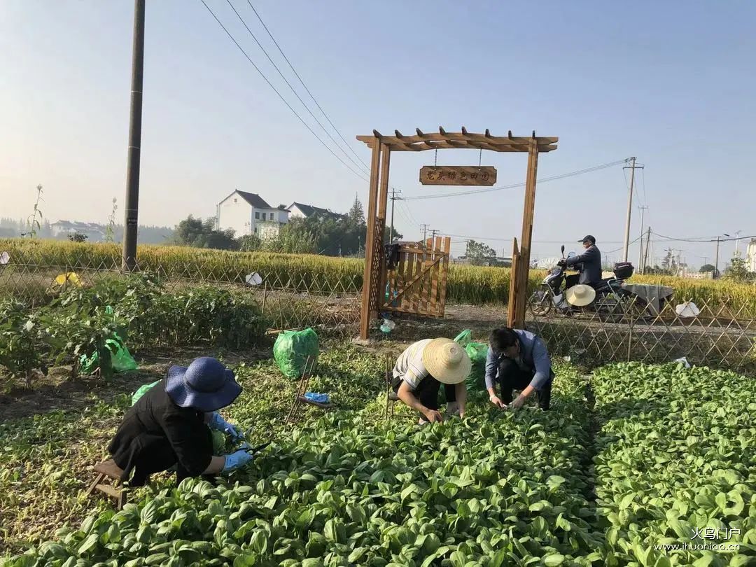 新吴旺庄 叉车证培训考证