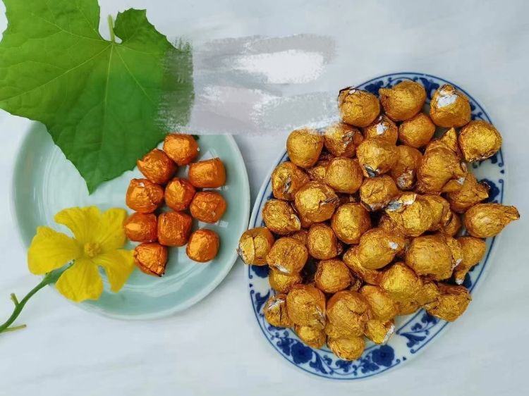 宜兴丁蜀 活动摄影助理